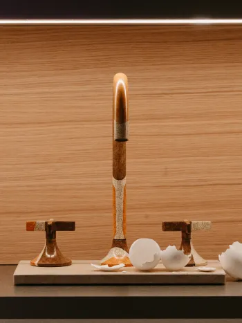 DORN_BRACHT_MDW25-67