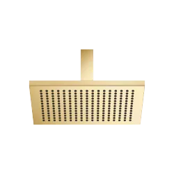 Regenbrause mit Deckenanbindung 300 x 240 mm - Messing gebürstet (23kt Gold) - 28 775 980-28