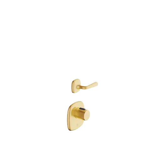COYA xTOOL Thermostatmodul mit 1 Ventil - Messing gebürstet (23kt Gold) - Set aus 2 Artikeln