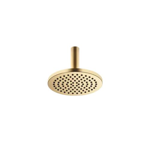 Rainshower with ceiling fixing 220 mm - Brushed Durabrass (23kt Gold) - 28 667 970-28