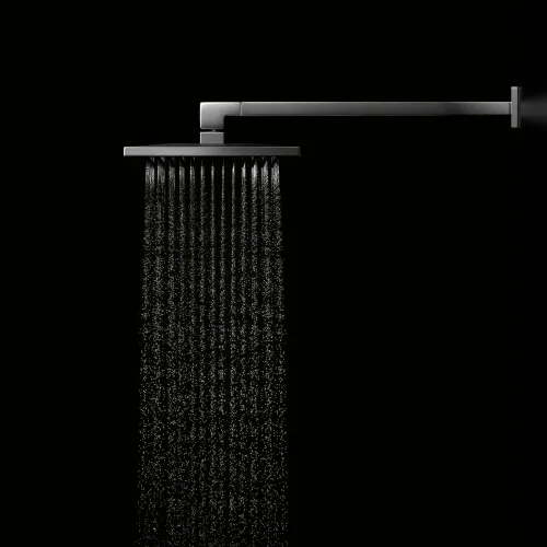 Rainshower with wall fixing 300 x 240 mm - Brushed Chrome - 28 765 980-93