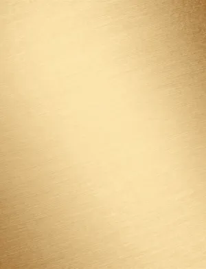 28_brushed Durabrass