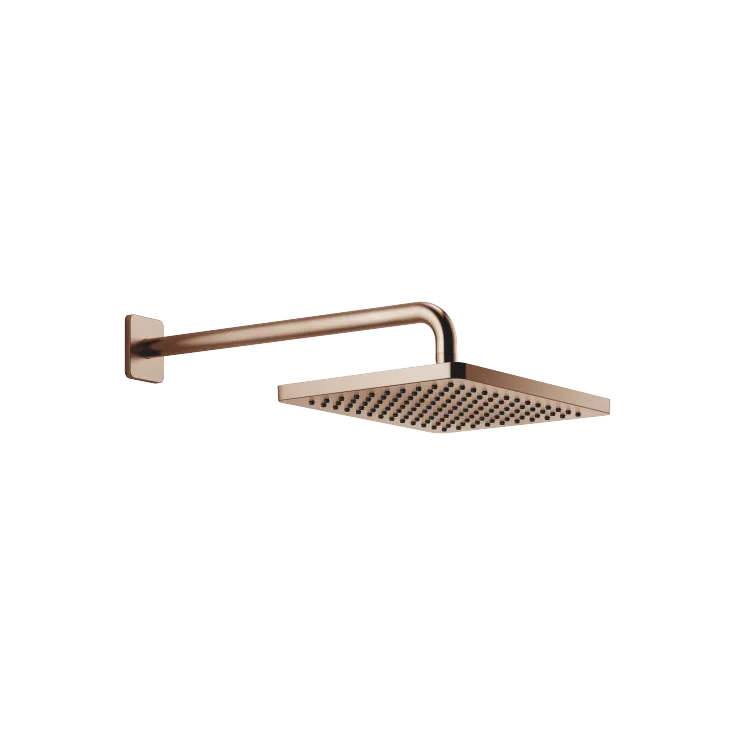 Regenbrause mit Wandanbindung - Bronze gebürstet - 28 769 710-42