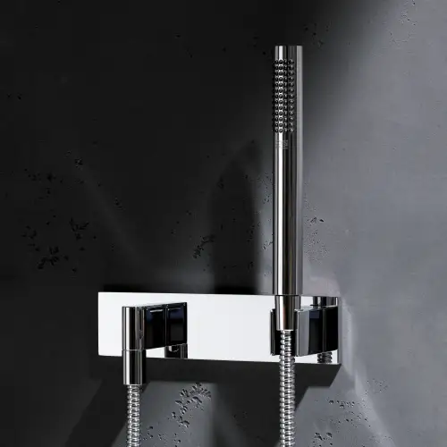 Hand shower set with cover plate - Brushed Platinum - 27 818 980-06