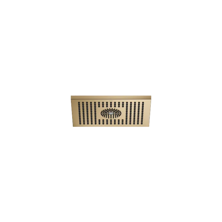 Rain shower for surface-mounted ceiling installation with light 300 x 240 mm - Brushed Dark Brass - 28 042 980-39