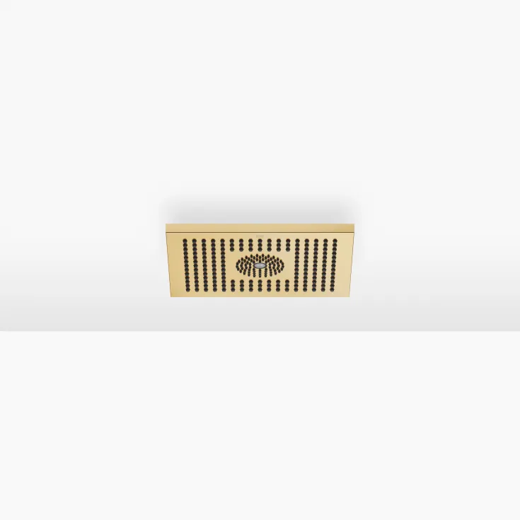 Rain shower for surface-mounted ceiling installation with light 300 x 240 mm - Brushed Gold (PVD) - 28 042 980-37 0050
