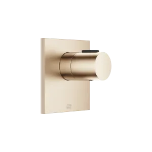 xTOOL Concealed thermostat without volume control 3/4" - Brushed Light Gold - 36 503 780-27