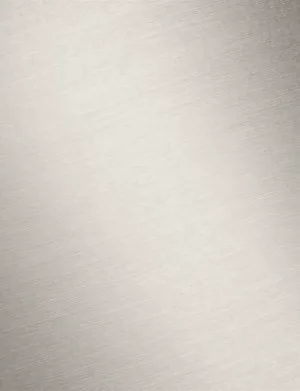 06_platinum matt_NEU