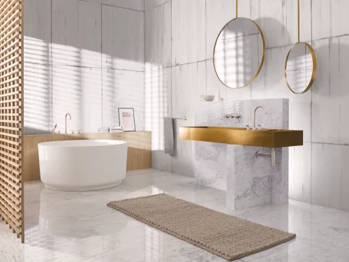Premium design washbasin faucet transitional
