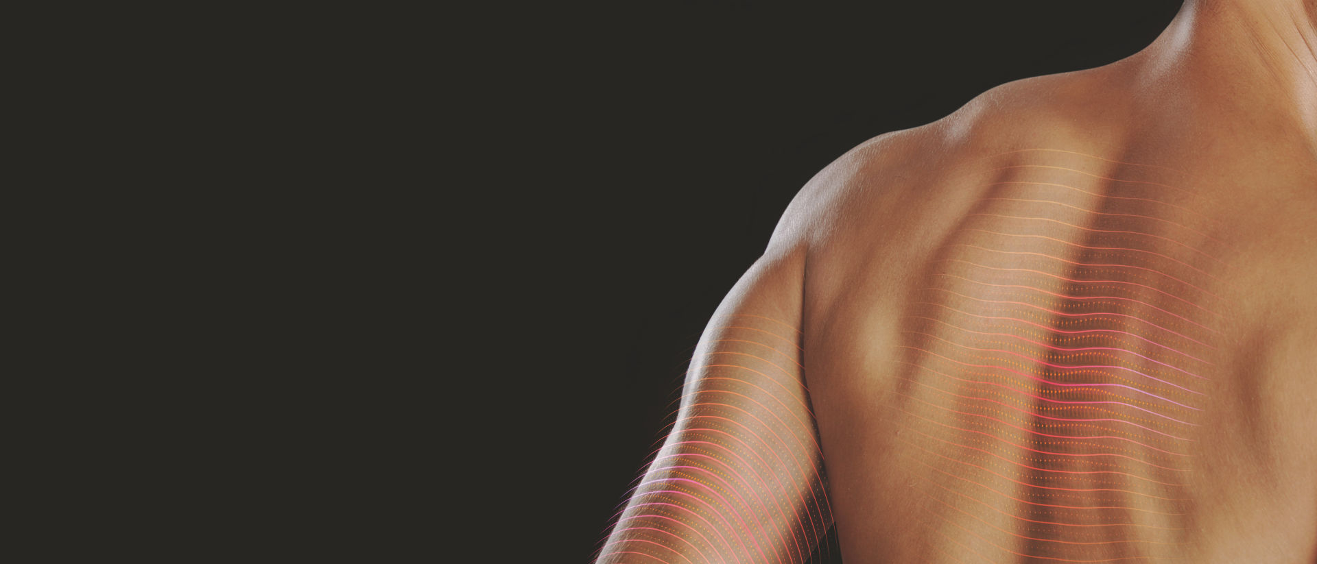 Water Therapy Muscle Recovery Dornbracht