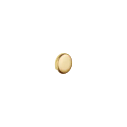 Rupteur de conduite - Laiton brossé (Or 23cts) - 36 150 970-28