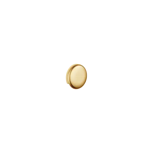 Rupteur de conduite - Laiton brossé (Or 23cts) - 36 150 970-28