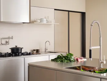 Dornbracht tara ultra design series profi kitchen kitchen faucets brushed platinum