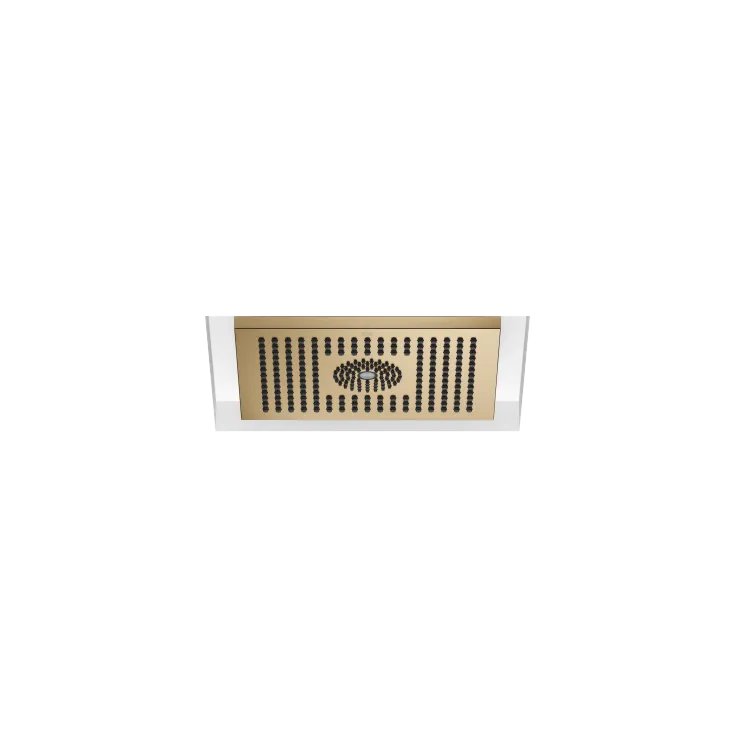 Rain shower for recessed ceiling installation with light 300 x 240 mm - Brushed Dark Brass - 28 044 980-39 0010