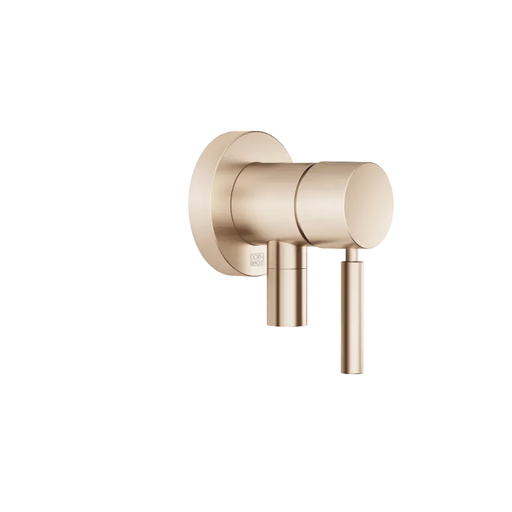 UP-Einhandbatterie mit Abdeckplatte mit integriertem Brauseanschluss - Champagne gebürstet (22kt Gold) - 36 046 660-46