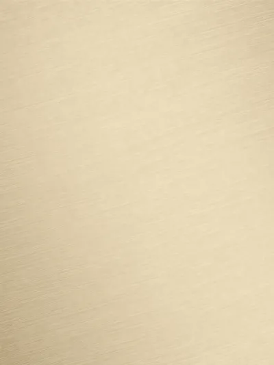 -27 Light Gold gebĂĽrstet