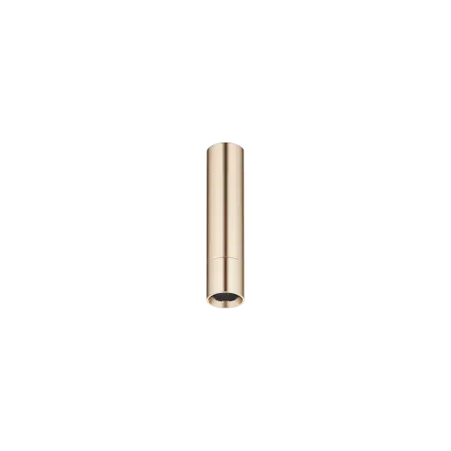 Shower head with ceiling fixing - Brushed Light Gold (PVD) - 28 611 970-27