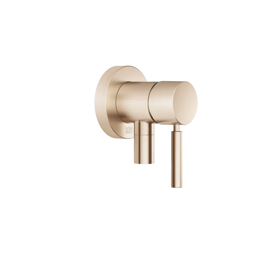 Concealed single-lever mixer with cover plate with integrated shower connection - Brushed Champagne (22kt Gold) - 36 045 660-46