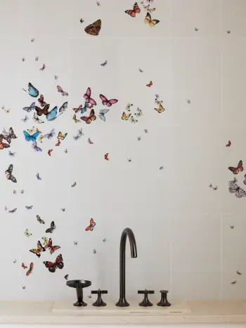 TLNR_Butterfly_bath_detail_Papilio_33_©StephanJulliard