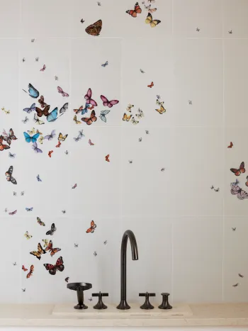 TLNR_Butterfly_bath_detail_Papilio_33_©StephanJulliard