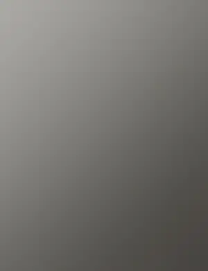 19_Dark Chrome