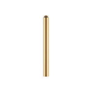 Extension for shower with fixed riser 200 mm - Brushed Durabrass (23kt Gold) - 12 120 970-28