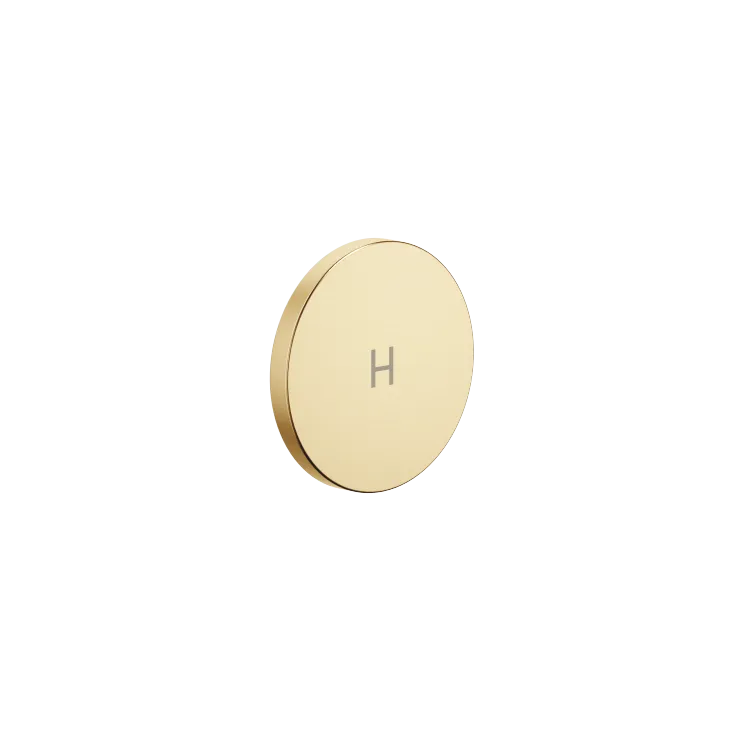 CYO Insert de poignée H - Laiton brossé (Or 23cts) - 11 185 811-28