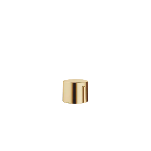 Strainer waste with control handle - Brushed Durabrass (23kt Gold) - 10 712 970-28
