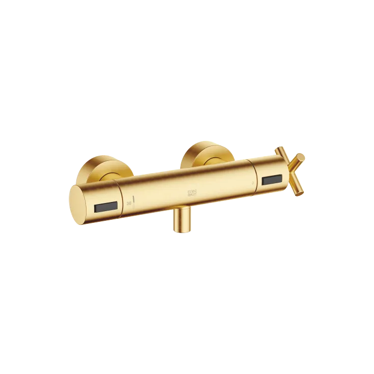 TARA Termostato de ducha - Latón cepillado (Oro 23k) - Set que contiene 2 artículos