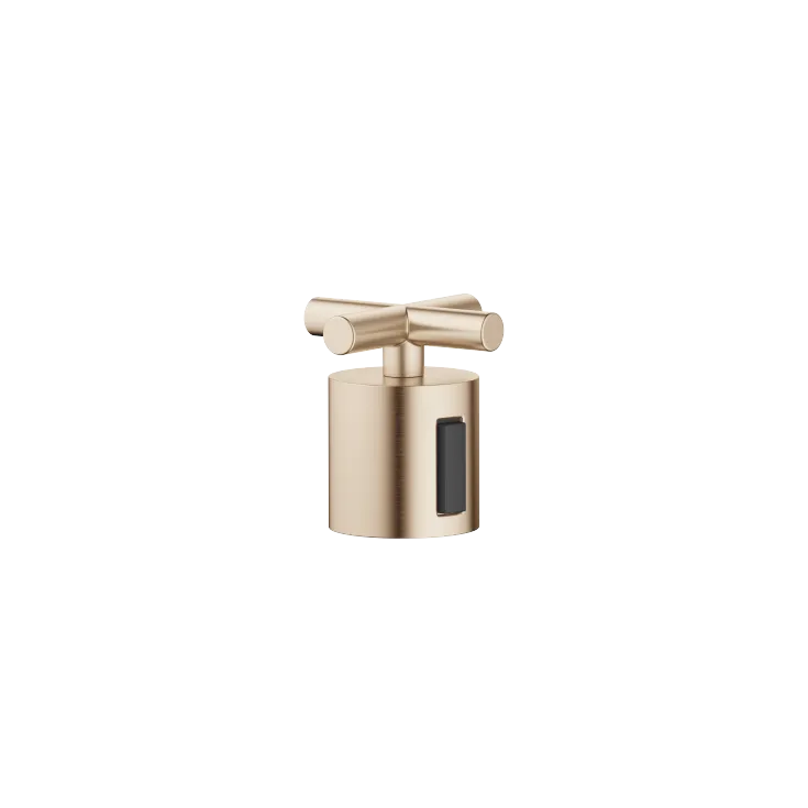 TARA Regulator handle - Brushed Champagne (22kt Gold) - 11 431 892-46