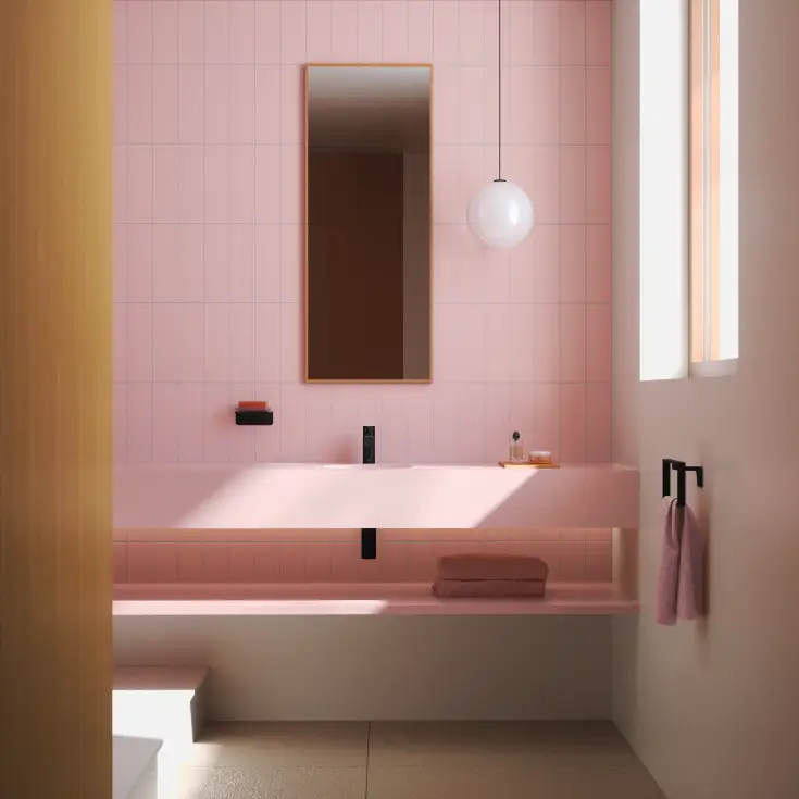 IMO_Black matte_ Powder Room_1