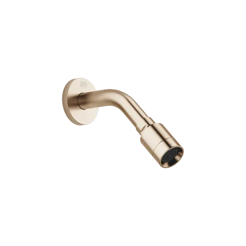 Shower head - Brushed Light Gold (PVD) - 28 613 970-27 0010