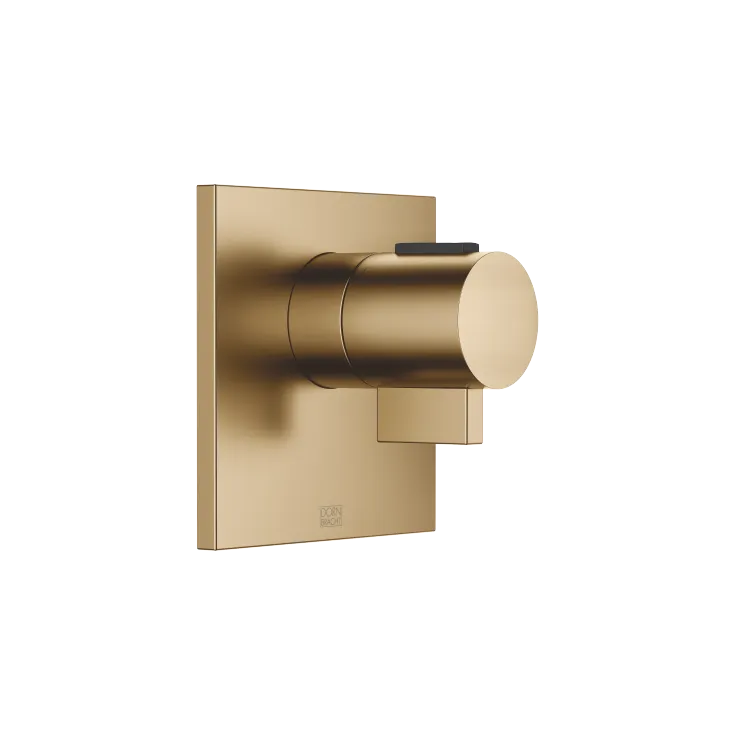 SYMETRICS xTOOL Concealed thermostat without diverter - Brushed Dark Brass - 36 416 985-39