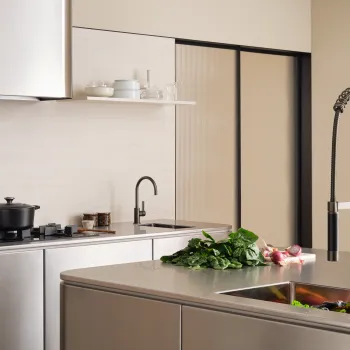 Dornbracht tara ultra design series profi inspiration kitchen kitchen faucet brushed dark platinum