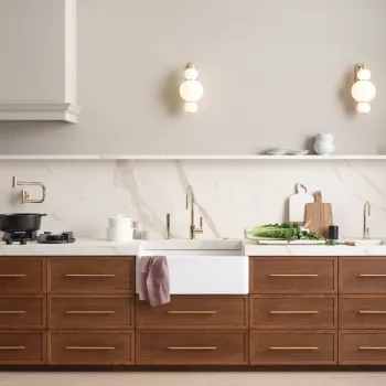 Dornbracht tara design series inspiration kitchen kitchen faucet durabrass