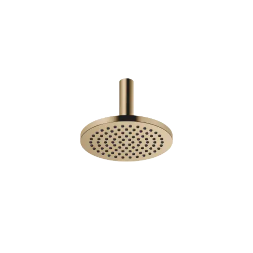 Pomme de douche arrosoir à fixation au plafond 220 mm - Dark Brass brossé (PVD) - 28 667 970-39 0010