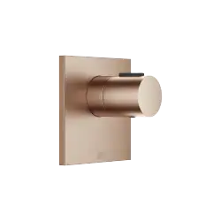 xTOOL Concealed thermostat without diverter - Brushed Bronze (PVD) - 36 416 780-42