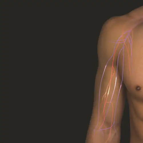 05_Blood-Circulation