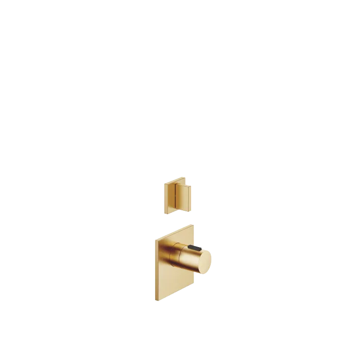 MEM xTOOL Thermostatmodul mit 1 Ventil - Messing gebürstet (23kt Gold) - Set aus 2 Artikeln