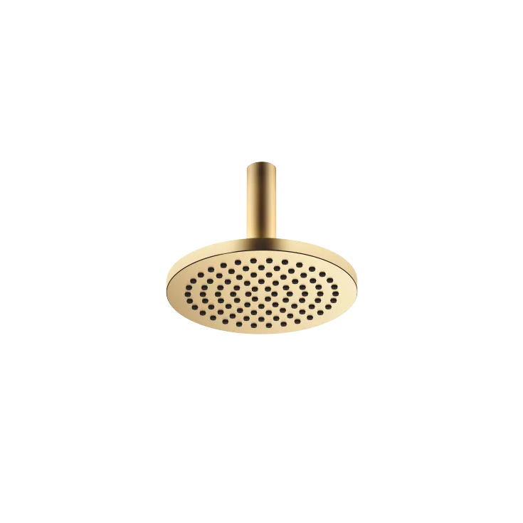 Rain shower with ceiling fixing 220 mm - Brushed Durabrass (23kt Gold) - 28 669 970-28 0010